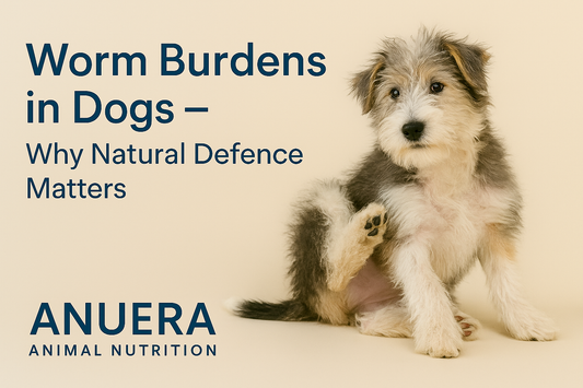 Worm Burdens in Dogs