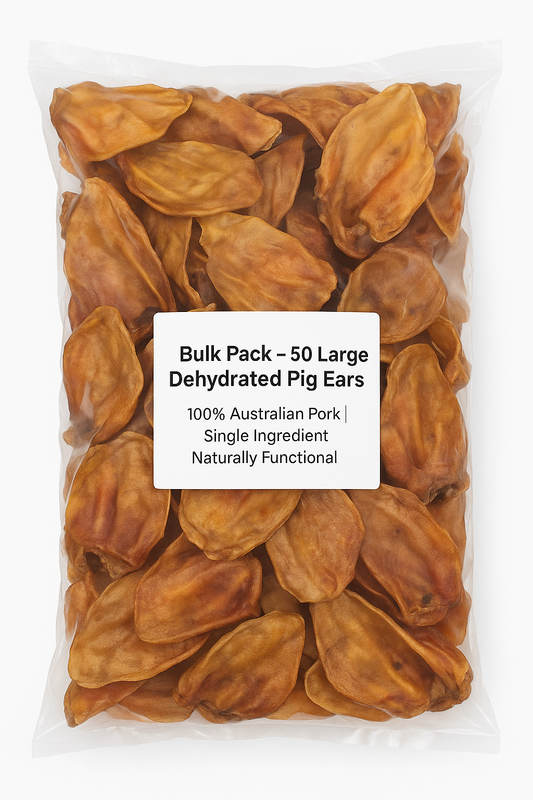 Bulk Pack 50 X-Large Dehydrated Pig Ears
