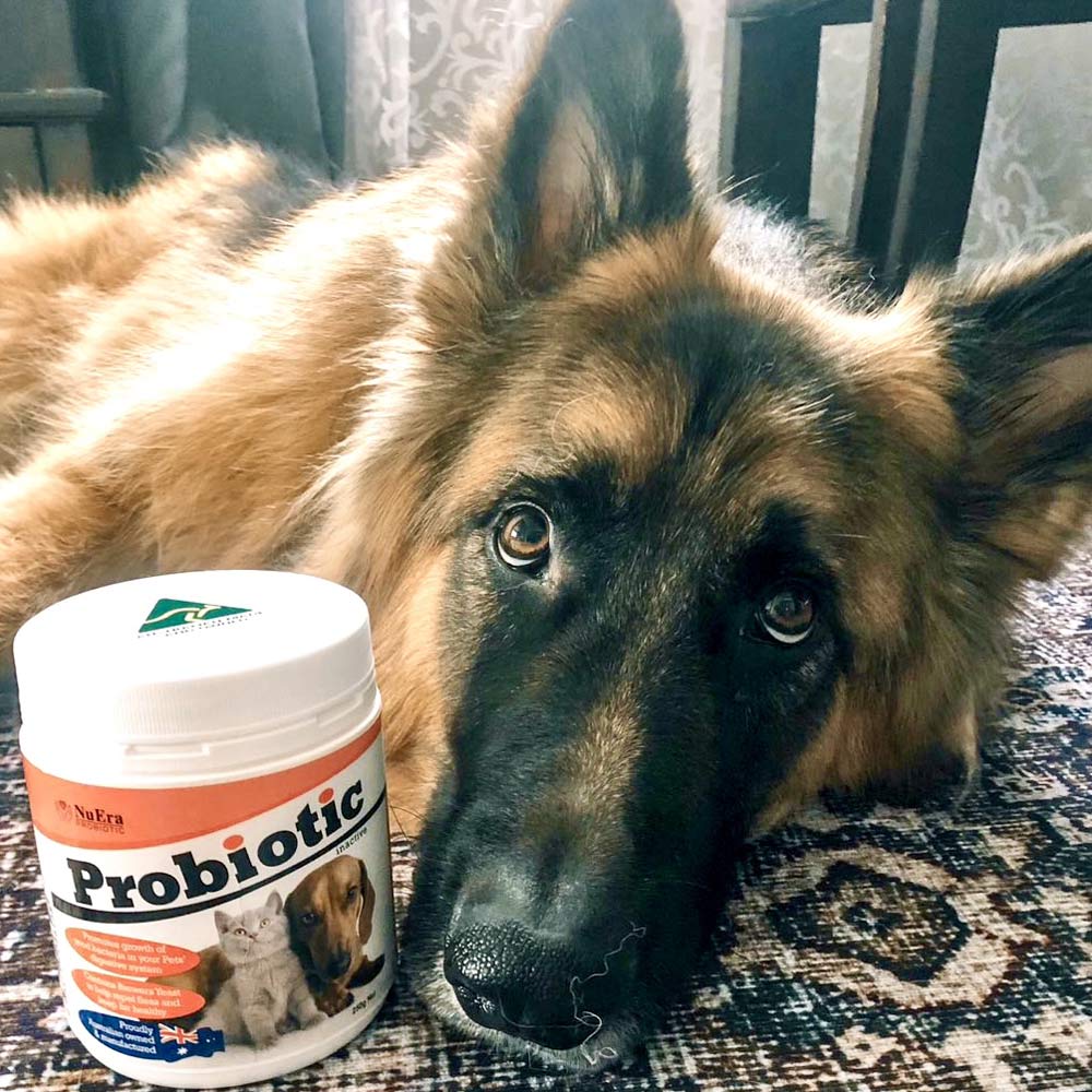 Probiotic for Pets 2.5kg