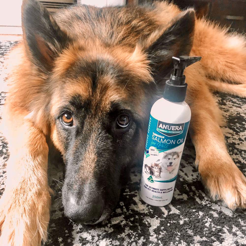 Tasmanian Salmon Oil for Pets 2.5 Litres