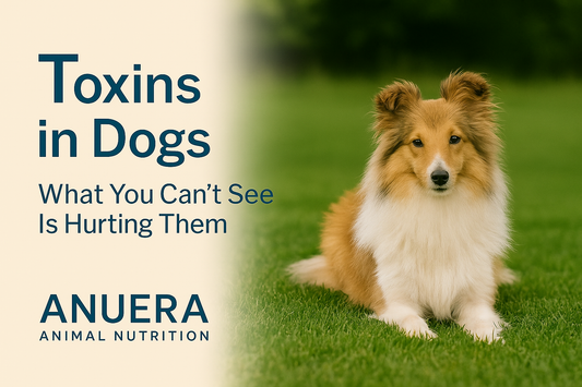 Toxins in Dogs