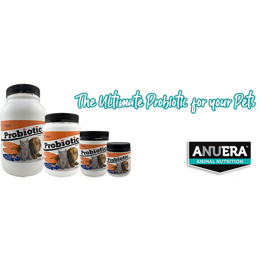 Why ANUERA Probiotic Is the Ultimate Supplement For your Pets