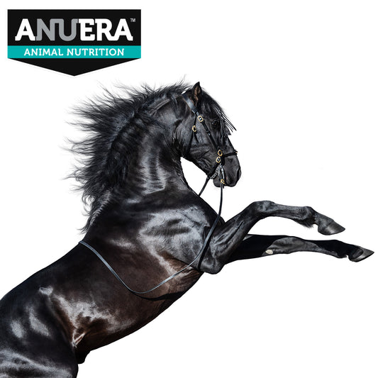 ANUERA Daily Multi Supplement Powder for Horses 2.5kg